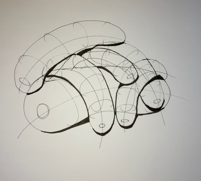 a drawing of organic shapes, similar to sausages