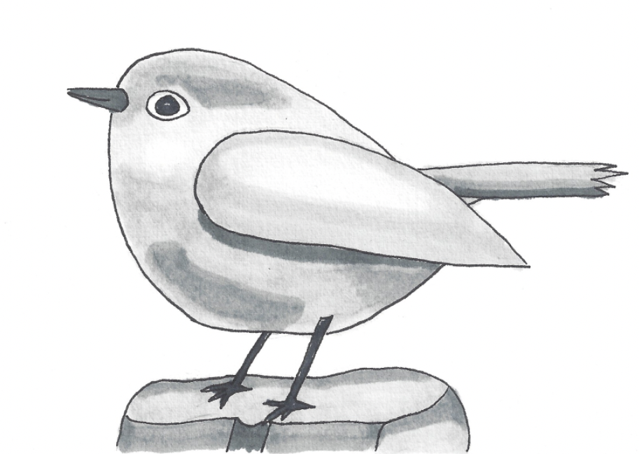 hand drawn bird with a smile in all grey tones