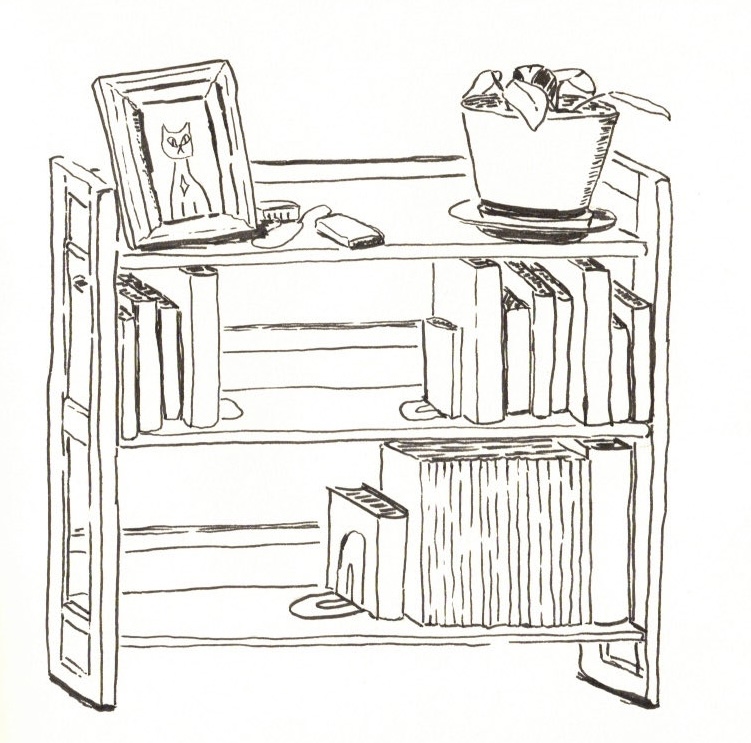 ink sketch of a bookcase with books and a plant